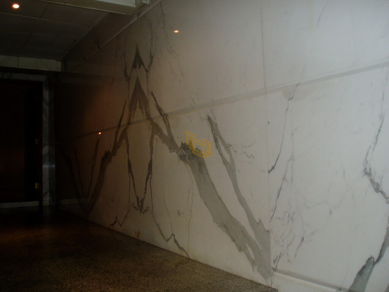 Statuario Marble Municipal Engineering Project02.jpg