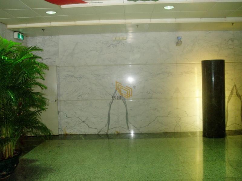 Statuario Marble Municipal Engineering Project03.jpg