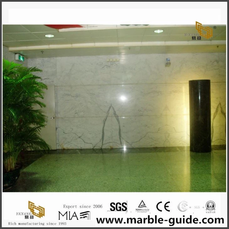 Statuario Marble Municipal Engineering Project